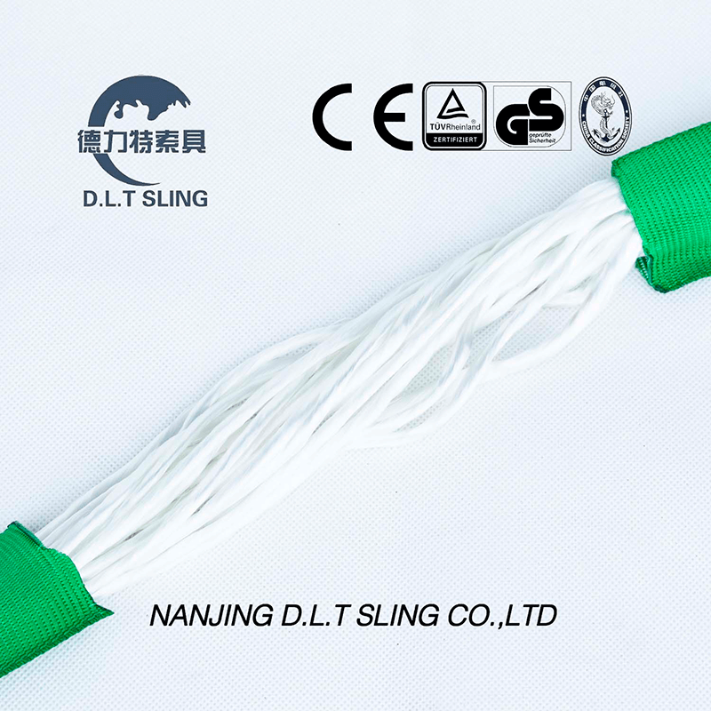 Élingue DLT 100% polyester 2 tonnes Élingue ronde pour le levage de la fronde